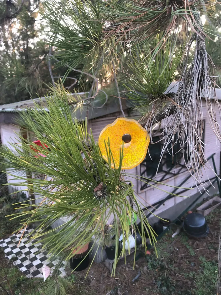 Floral decoration - Medium -sized glass calabel flower for outdoor in transparent, orange, yellow colour with 43 cm stainless steel stem. - CARNEOL GLASS