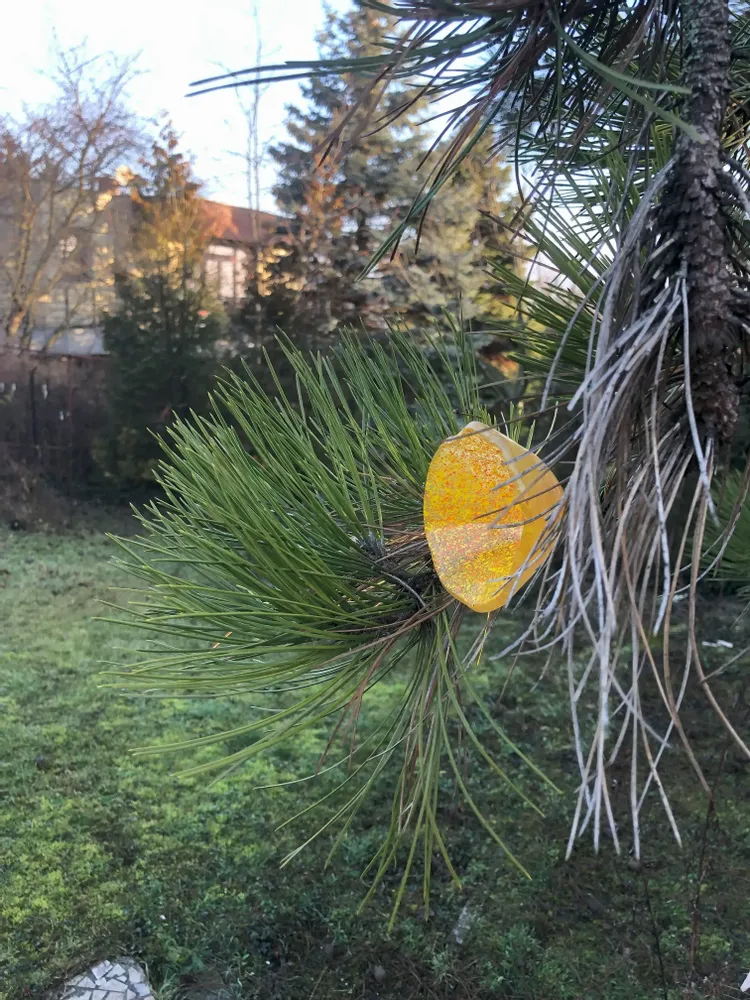 Floral decoration - Medium -sized glass calabel flower for outdoor in transparent, orange, yellow colour with 43 cm stainless steel stem. - CARNEOL GLASS