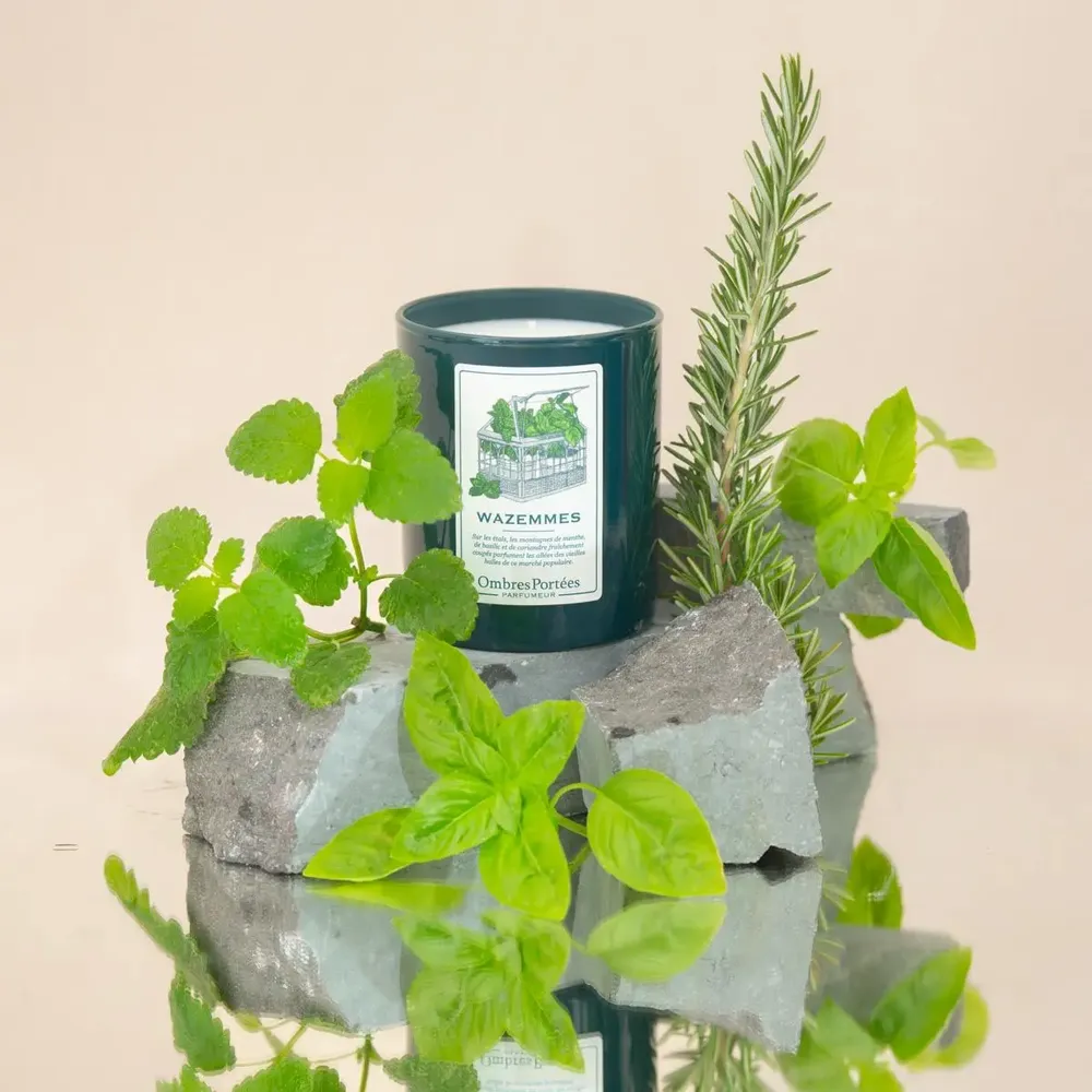Candles - Ombres Portees Parfumeur scented candle Wazemmes - OMBRES PORTÉES PARFUMEUR