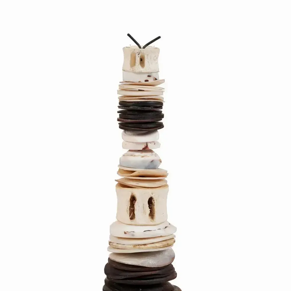 Other wall decoration - The Money Shell on Stand - Black White - S - BAZAR BIZAR LIVING