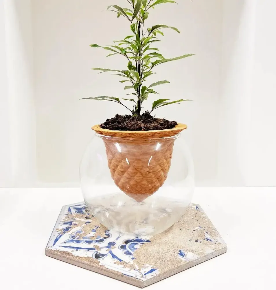 Vases - Clay pot - PIANO B - 3D self-irrigating design with glass for top - COMMON PLACE YOUR URBAN JUNGLE