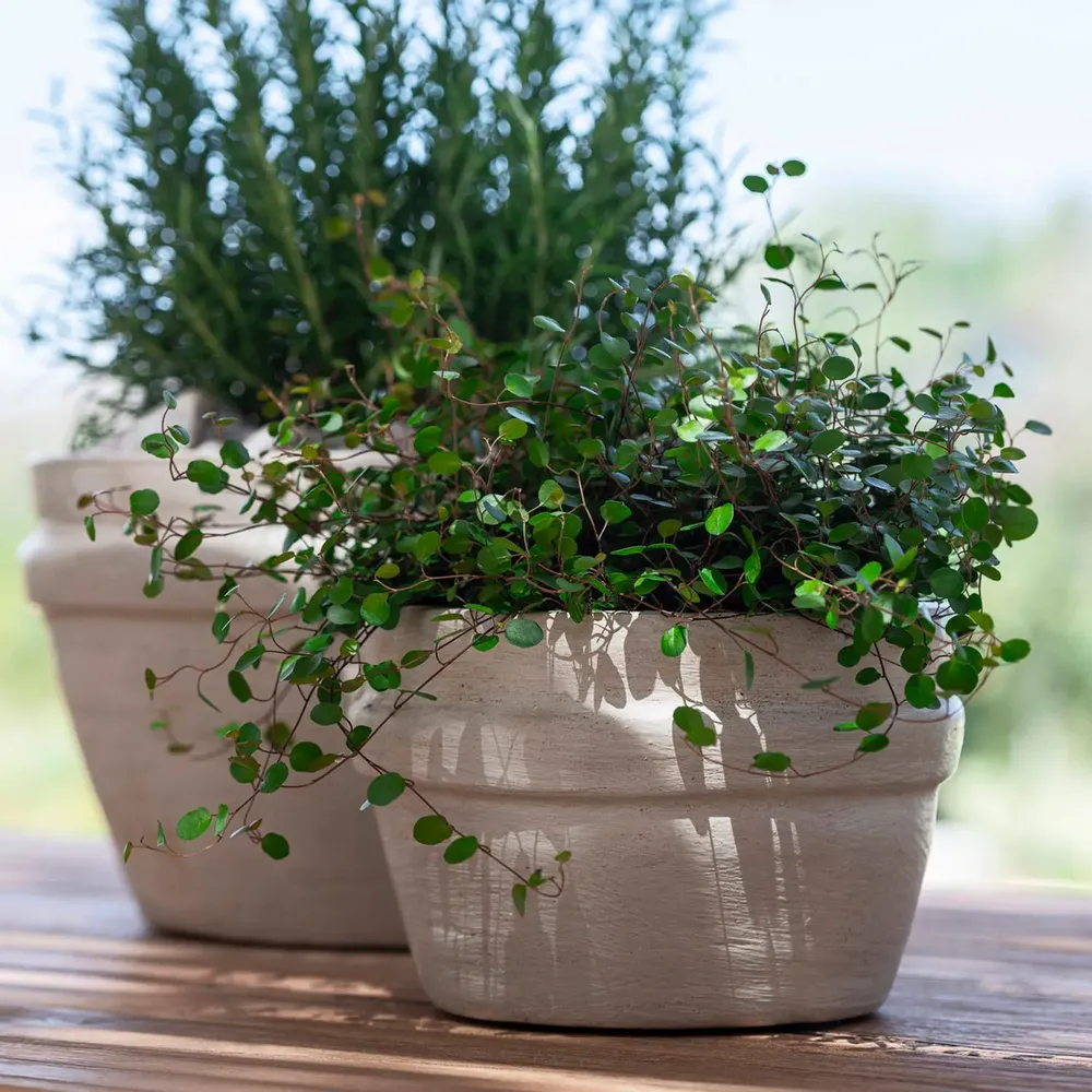 Ceramic - Bowl Santiago - GOMMAIRE