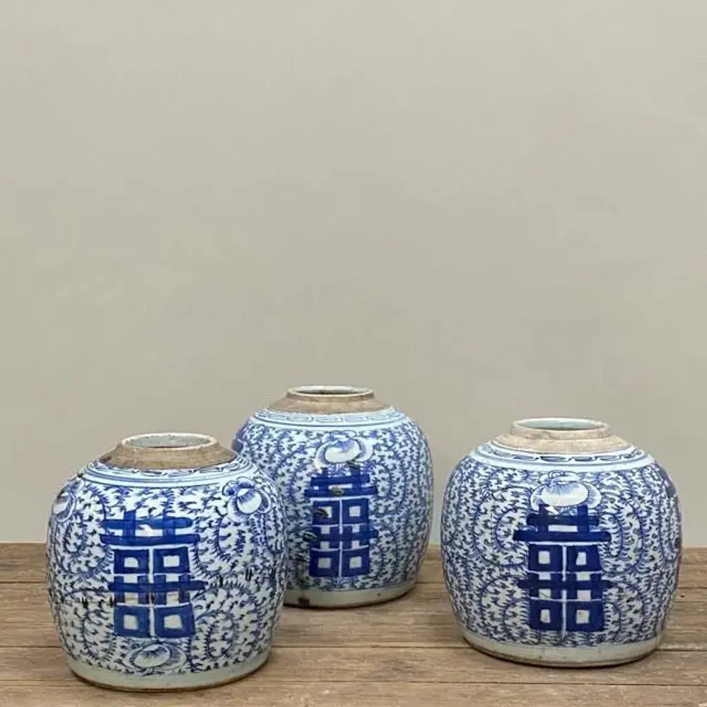 Vases - Bocaux à Gingembre - THE SILK ROAD COLLECTION