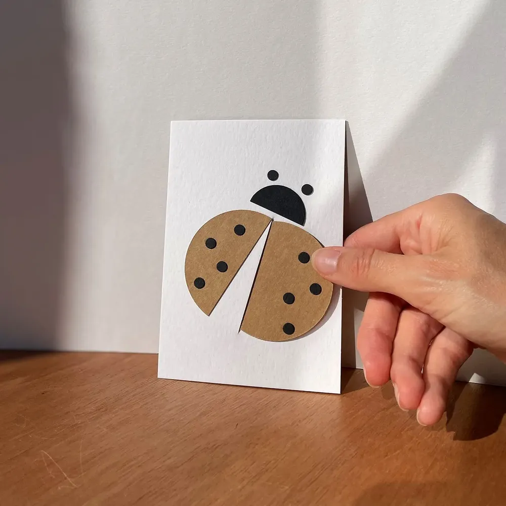 Cadeaux - COCCINELLE Carte-tableau participative OISO® - Blanc ou Kraft - OISO