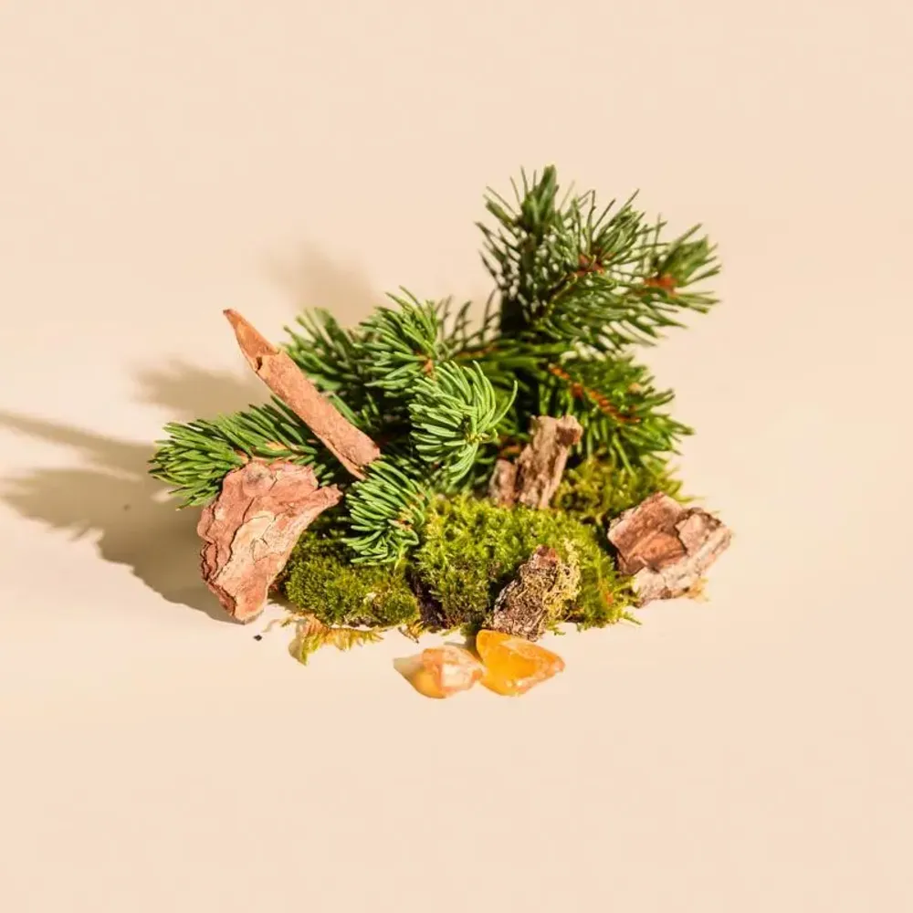 Bougies - Bougie Sapin verre blanc 180g - Cire 100% végétale - TANDEM FRAGRANCES