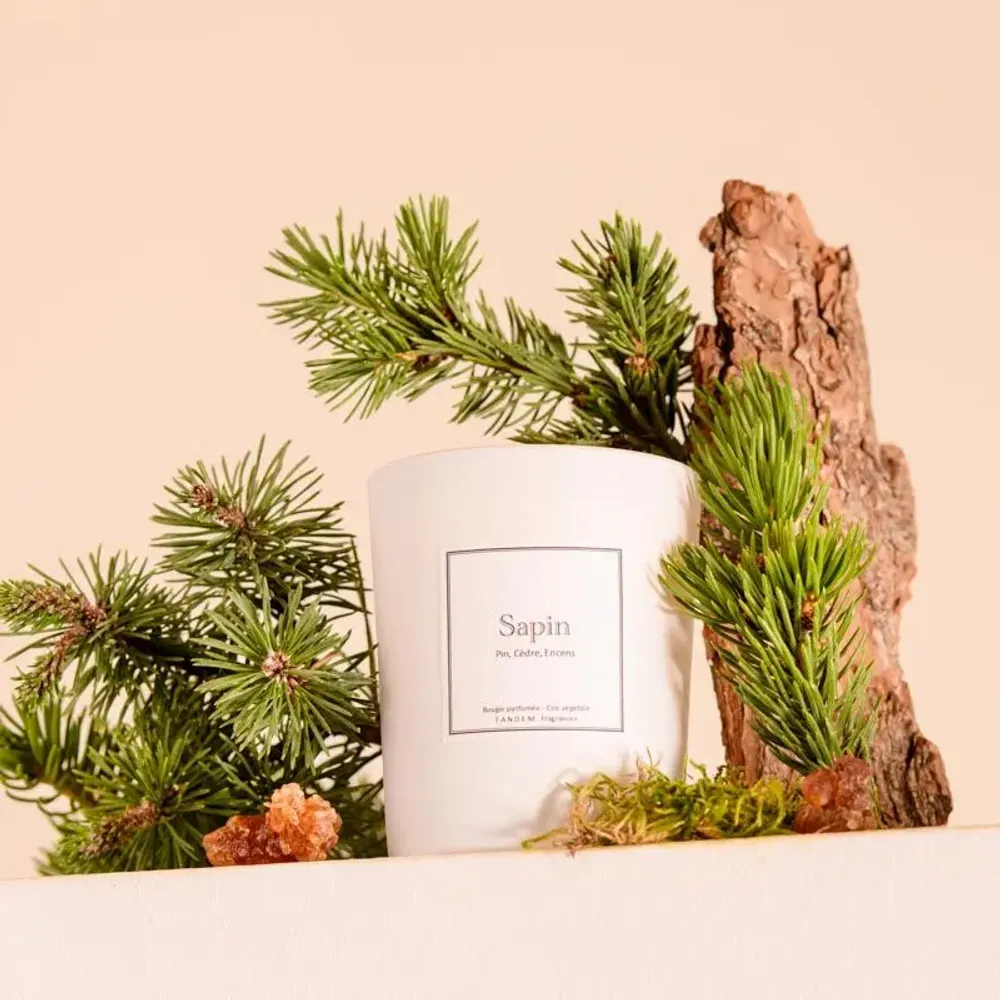 Bougies - Bougie Sapin verre blanc 180g - Cire 100% végétale - TANDEM FRAGRANCES