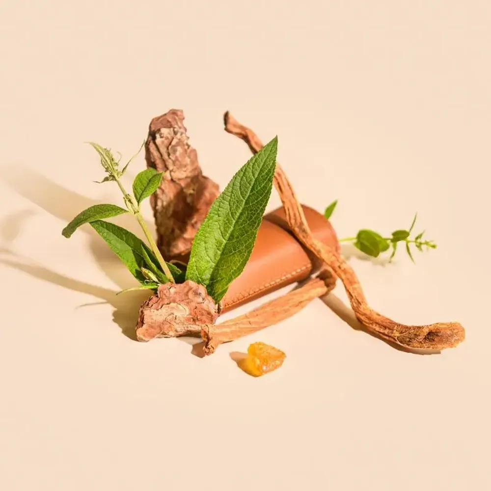 Bougies - Bougie Oud verre blanc 180g - Cire 100% végétale - TANDEM FRAGRANCES