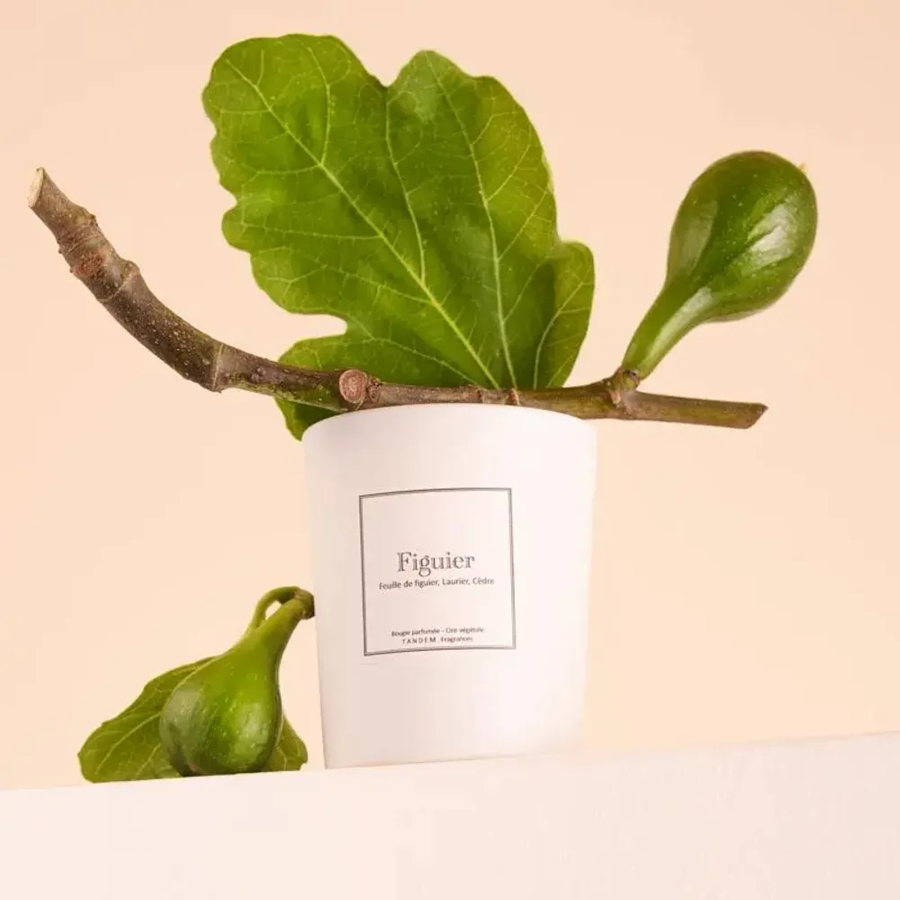 Bougies - Bougie Figuier verre blanc 180g - Cire 100% végétale - TANDEM FRAGRANCES