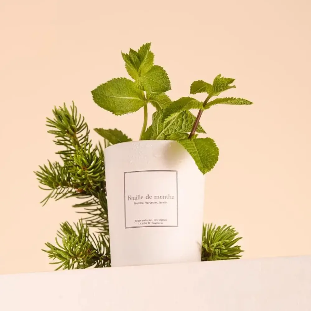 Candles - Mint leaf scented candle white glass - 6,40oz 100% vegetable wax - TANDEM FRAGRANCES