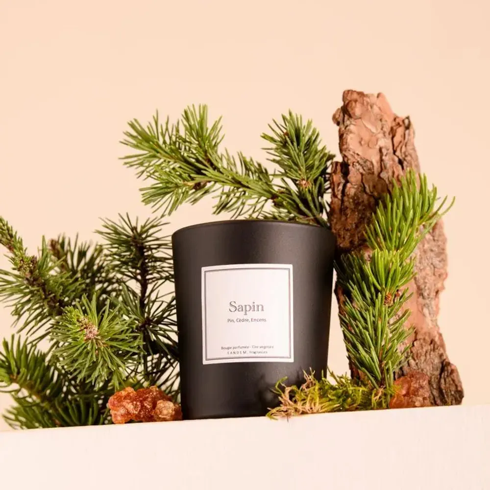 Candles - Fir tree scented candle black glass - TANDEM FRAGRANCES