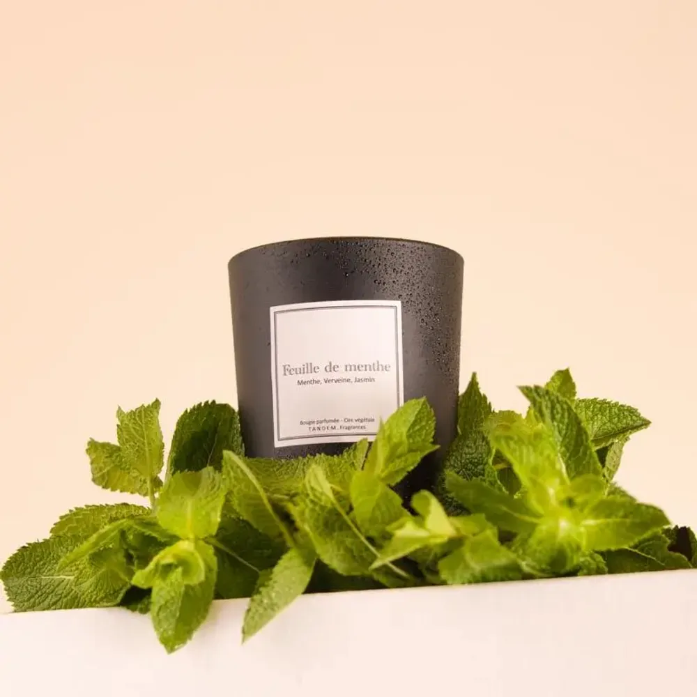 Bougies - Bougie Feuille de menthe verre noir 180g - Cire 100% végétale - TANDEM FRAGRANCES