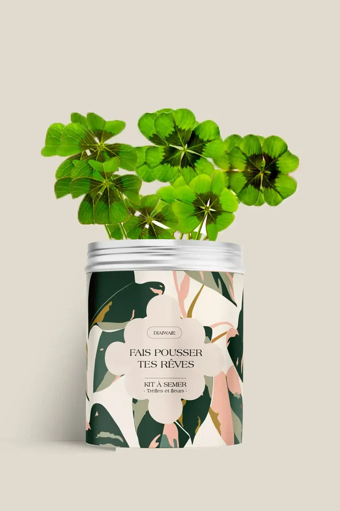 Décorations florales - Kit à semer - Fais pousser tes rêves - DIAIWAIE