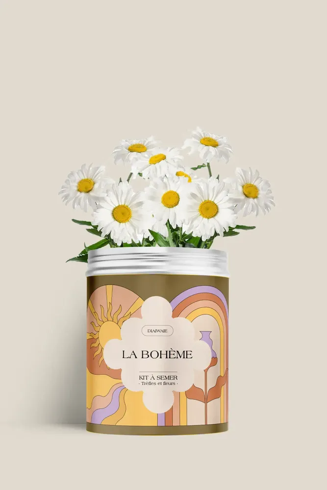 Décorations florales - Kit à semer - La bohème - DIAIWAIE