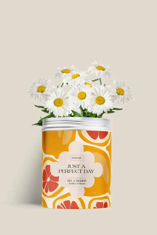 Décorations florales - Kit à semer - Just a perfect day - DIAIWAIE