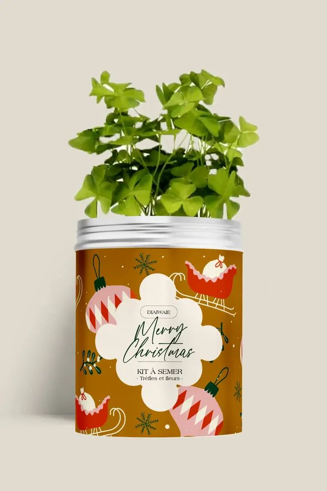 Décorations florales - Kit à semer - Merry Christmas - DIAIWAIE