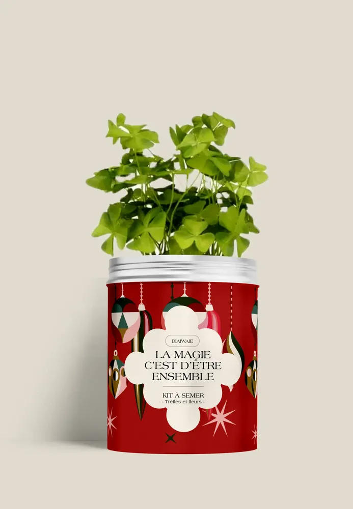 Décorations florales - Kit à semer - La magie c'est d'être ensemble - DIAIWAIE