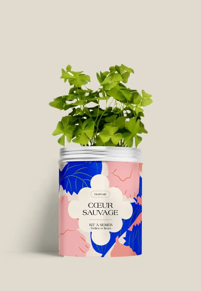 Floral decoration - Sowing Kit - Wild Heart - DIAIWAIE