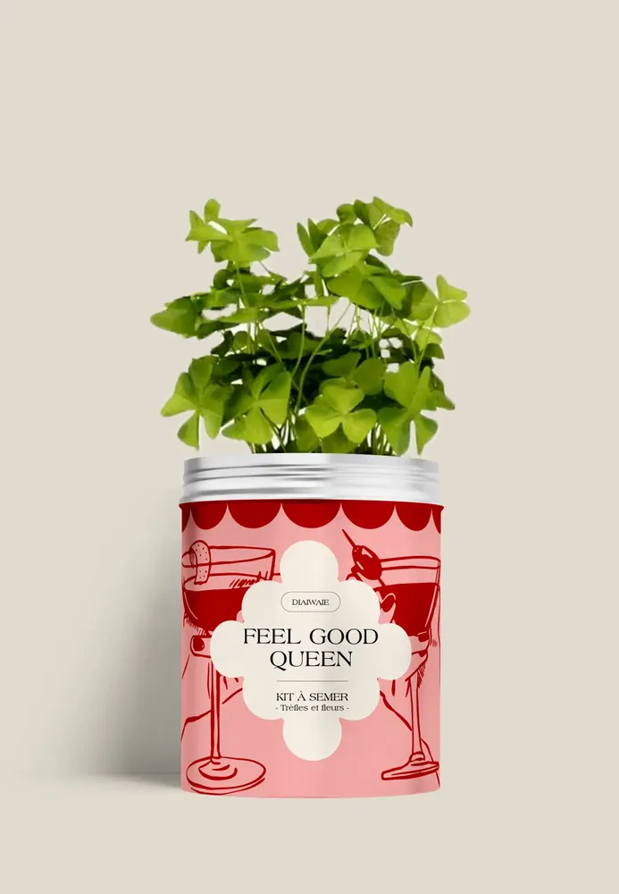 Floral decoration - Sowing kit - Feel good queen - DIAIWAIE