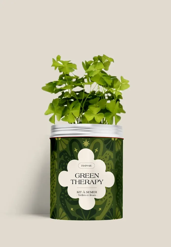 Décorations florales - Kit à semer - Green therapy - DIAIWAIE