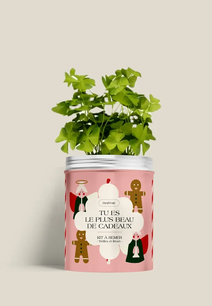 Décorations florales - Kit à semer - Tu es le plus beau des cadeaux - DIAIWAIE