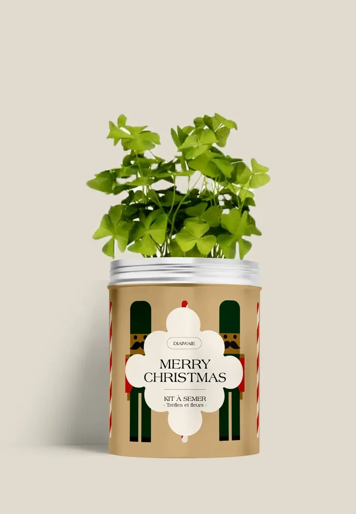 Floral decoration - Sowing Kit - Merry Christmas - DIAIWAIE