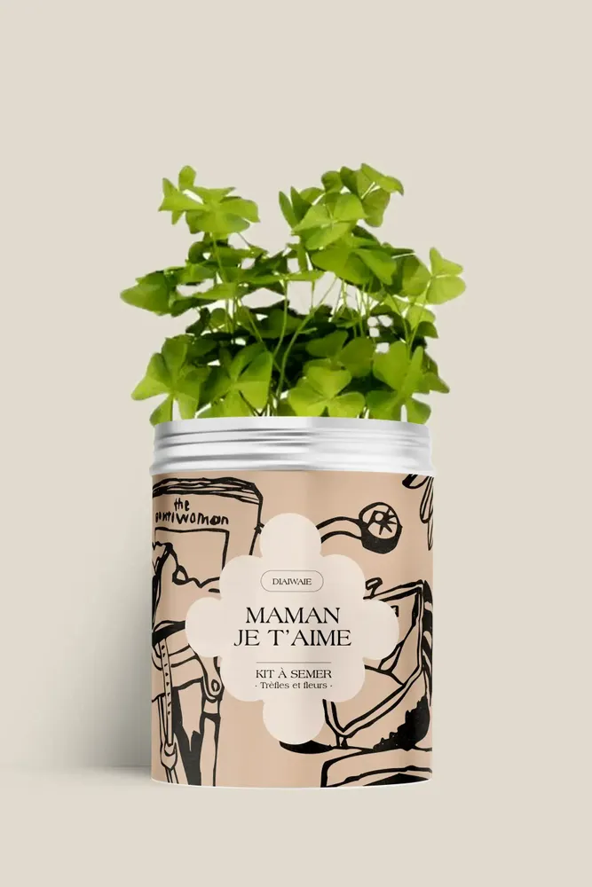 Floral decoration - Seed Kit - Mom I love you - DIAIWAIE