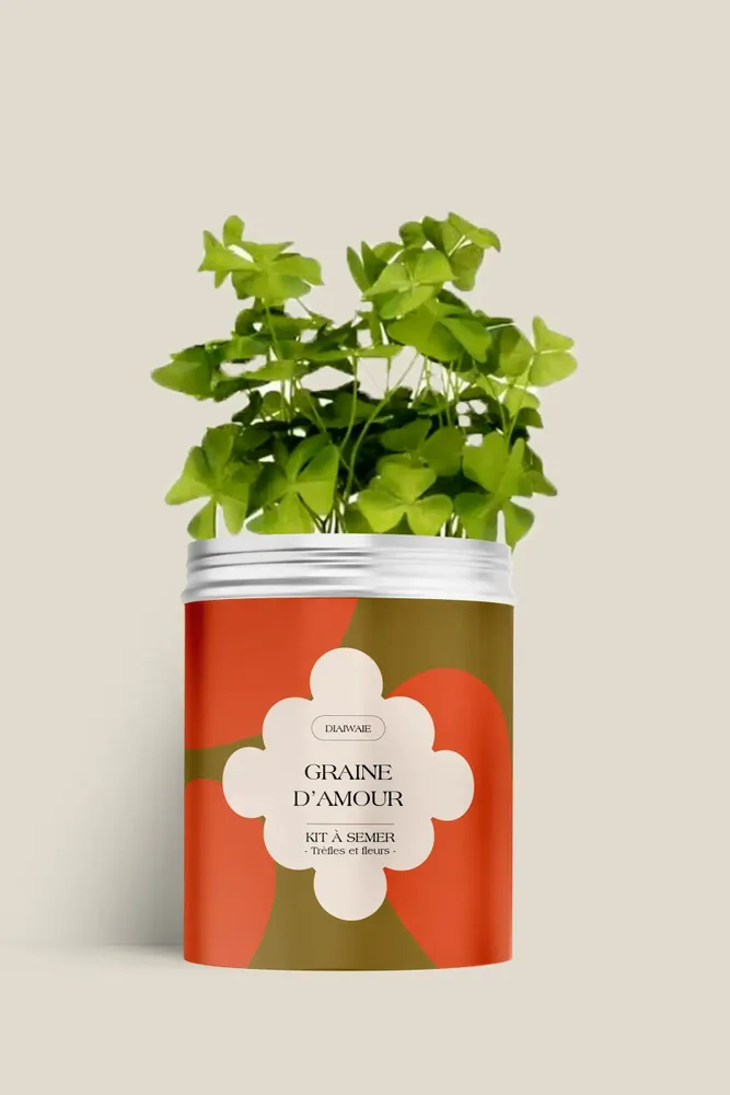 Décorations florales - Kit à semer - Graine d'amour - DIAIWAIE