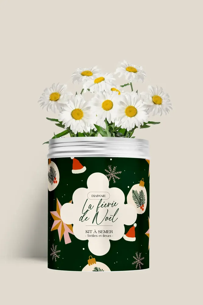 Décorations florales - Kit à semer - Féerie de Noël - DIAIWAIE