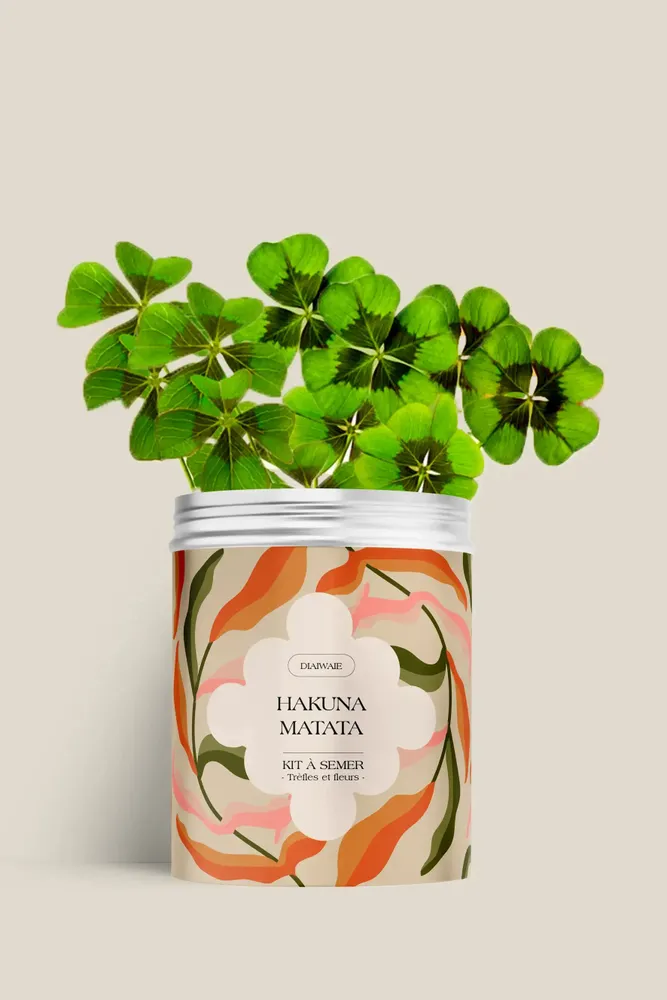 Floral decoration - Sowing Kit - Hakuna Matata - DIAIWAIE