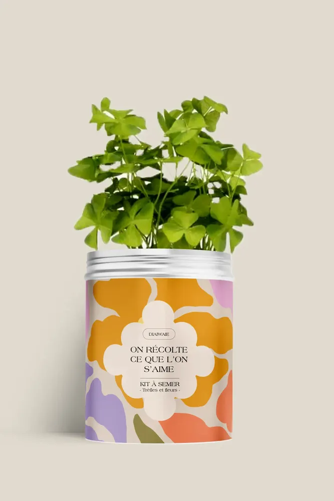 Floral decoration - Sowing Kit - We reap what we love - DIAIWAIE