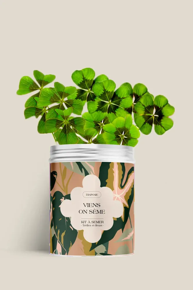 Floral decoration - Sowing Kit - Come on, let's sow - DIAIWAIE