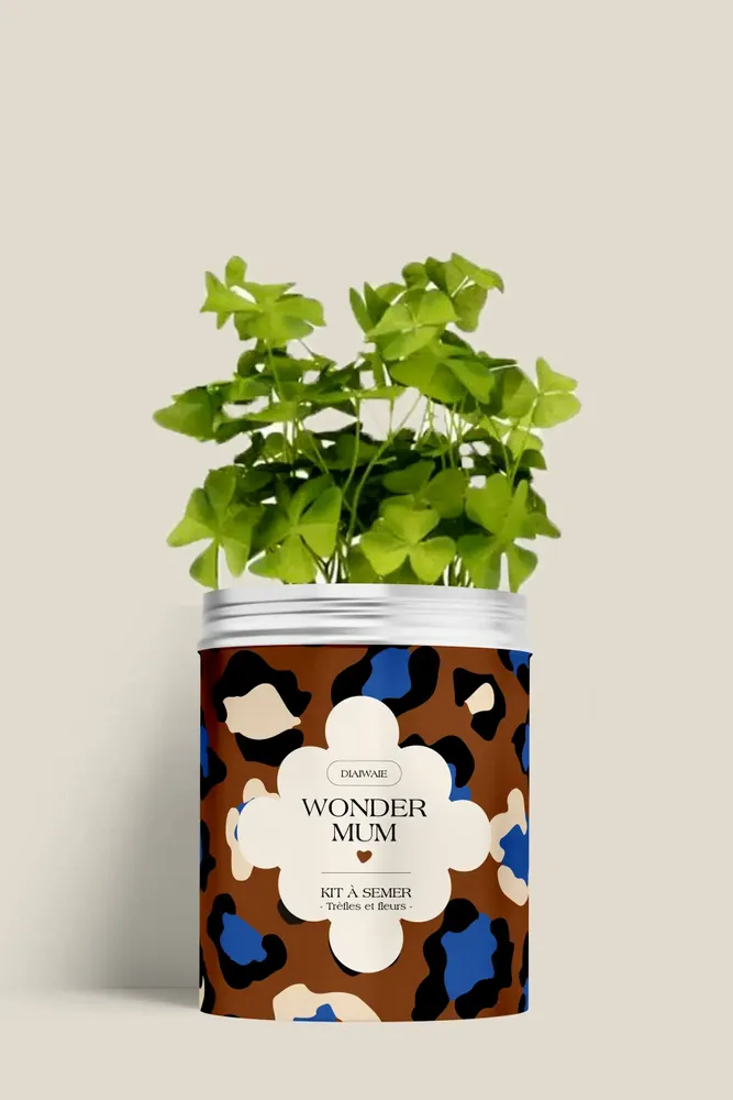 Floral decoration - Sowing Kit - Wonder Mum - DIAIWAIE