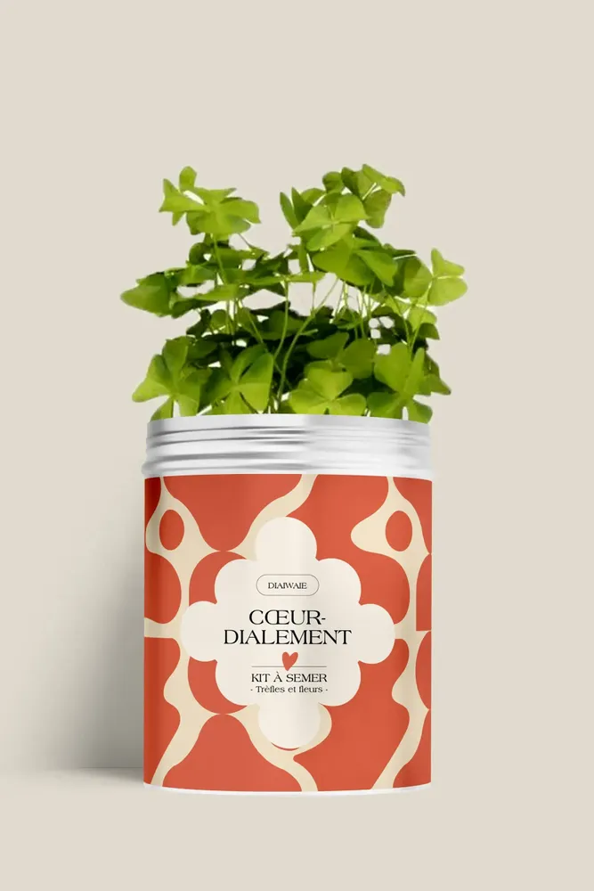 Décorations florales - Kit à semer - Cœurdialement <3 - DIAIWAIE
