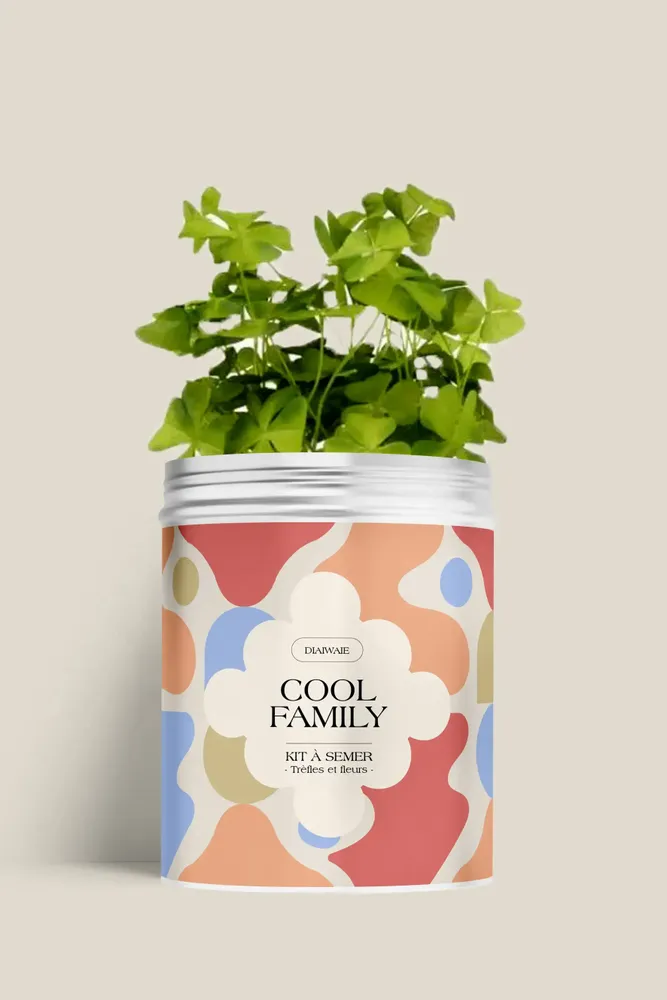 Floral decoration - Sowing Kit - Cool Family - DIAIWAIE