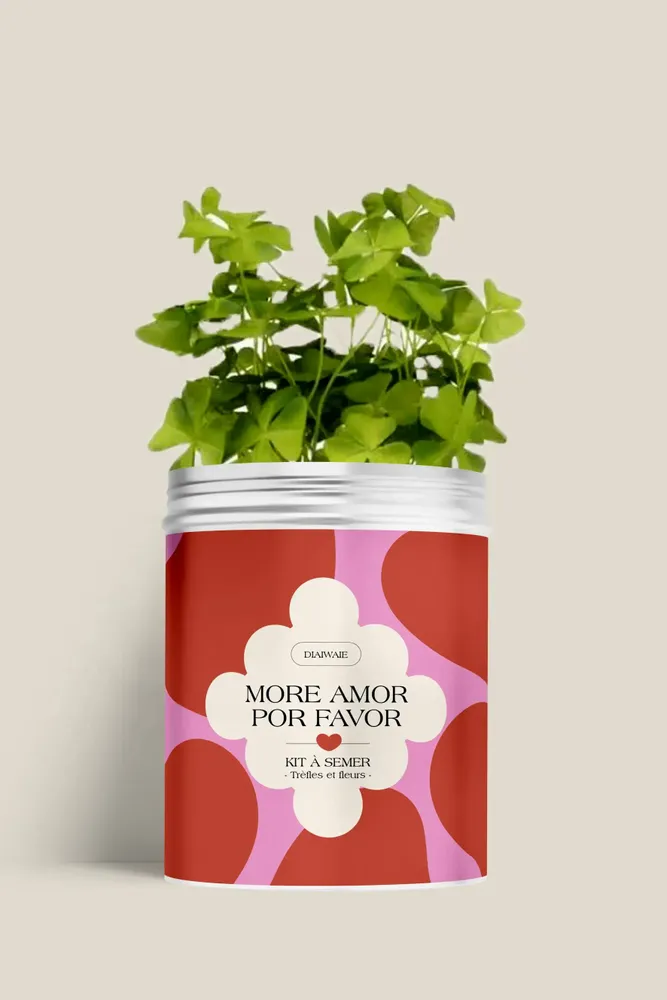 Floral decoration - Sowing kit - More amor por favor - DIAIWAIE