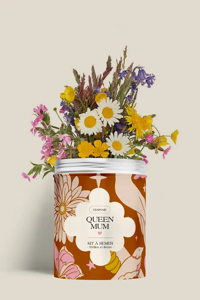 Décorations florales - Kit à semer - Queen mum - DIAIWAIE