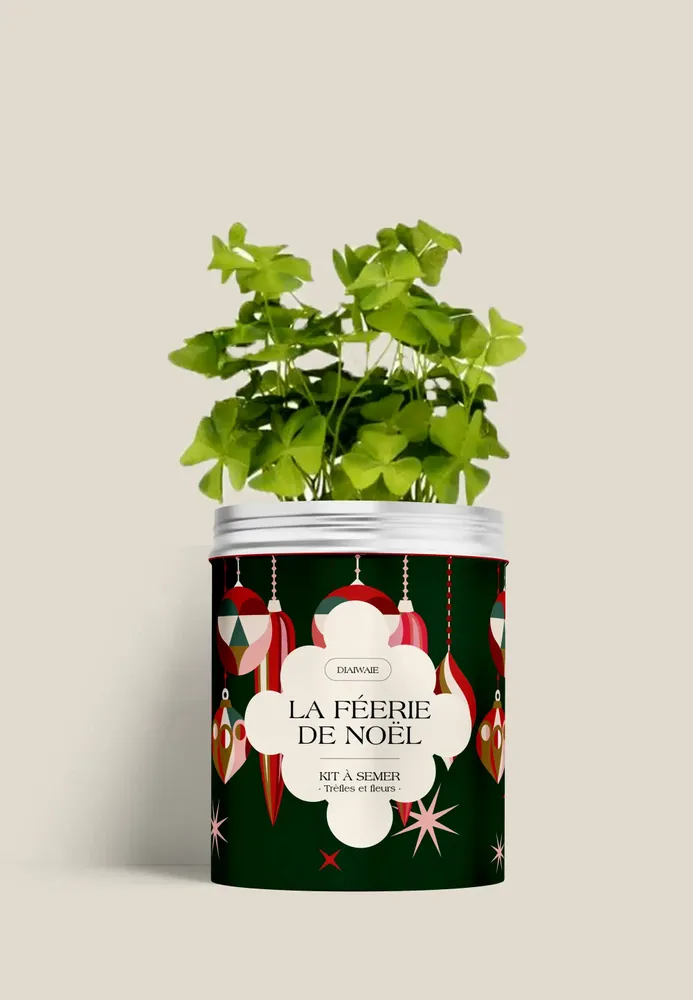 Floral decoration - Sowing Kit - The Magic of Christmas - DIAIWAIE