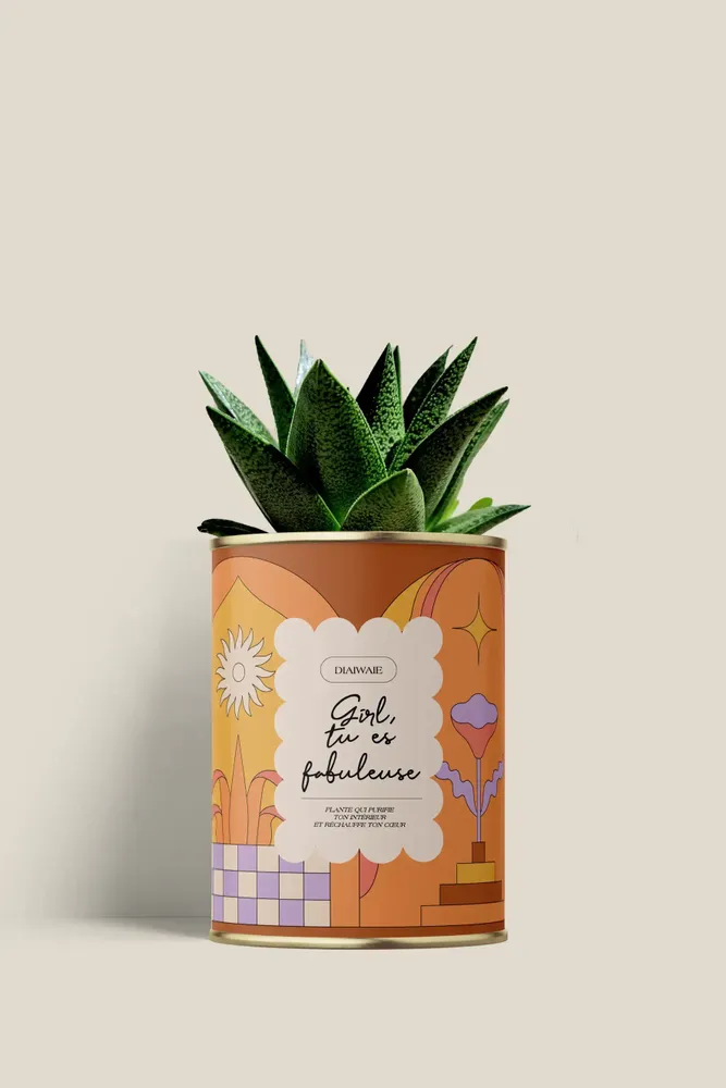 Cadeaux - Girl, tu es fabuleuse - Mini Aloé - DIAIWAIE