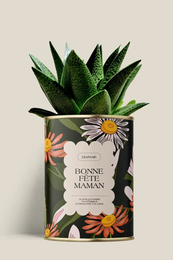Cadeaux - Bonne fête maman - Maxi Aloé - DIAIWAIE