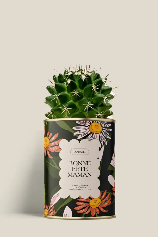 Gifts - Bonne fête maman - Mini Cactus - DIAIWAIE