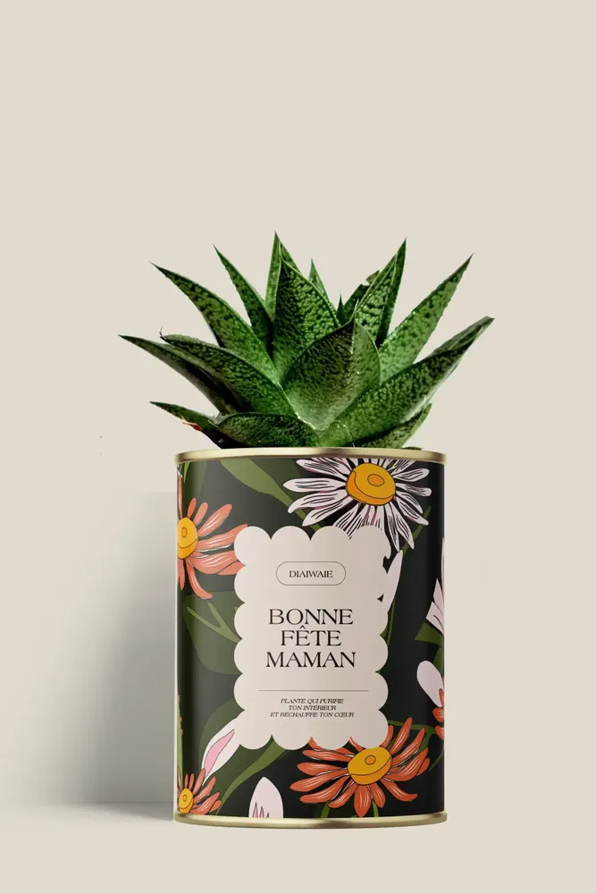 Cadeaux - Bonne fête maman - Mini Aloé - DIAIWAIE