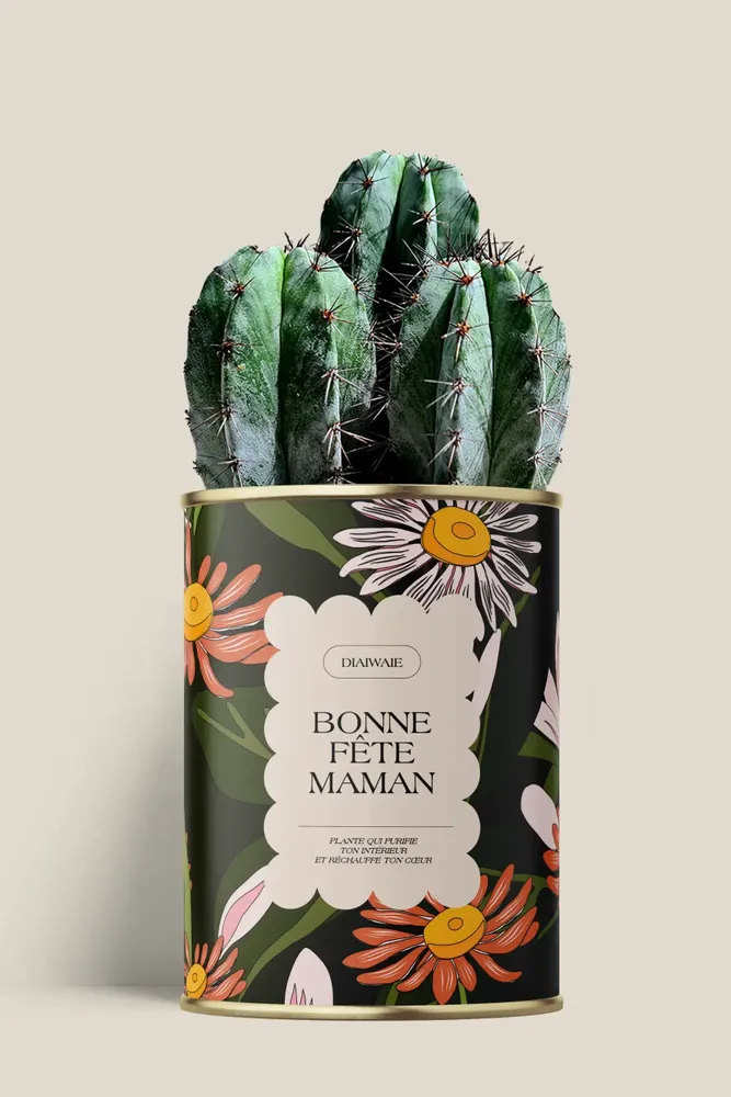 Gifts - Bonne fête maman - Maxi Cactus - DIAIWAIE