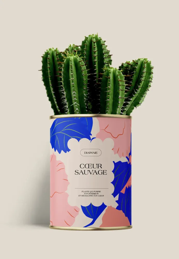 Cadeaux - Coeur sauvage - Maxi Cactus - DIAIWAIE