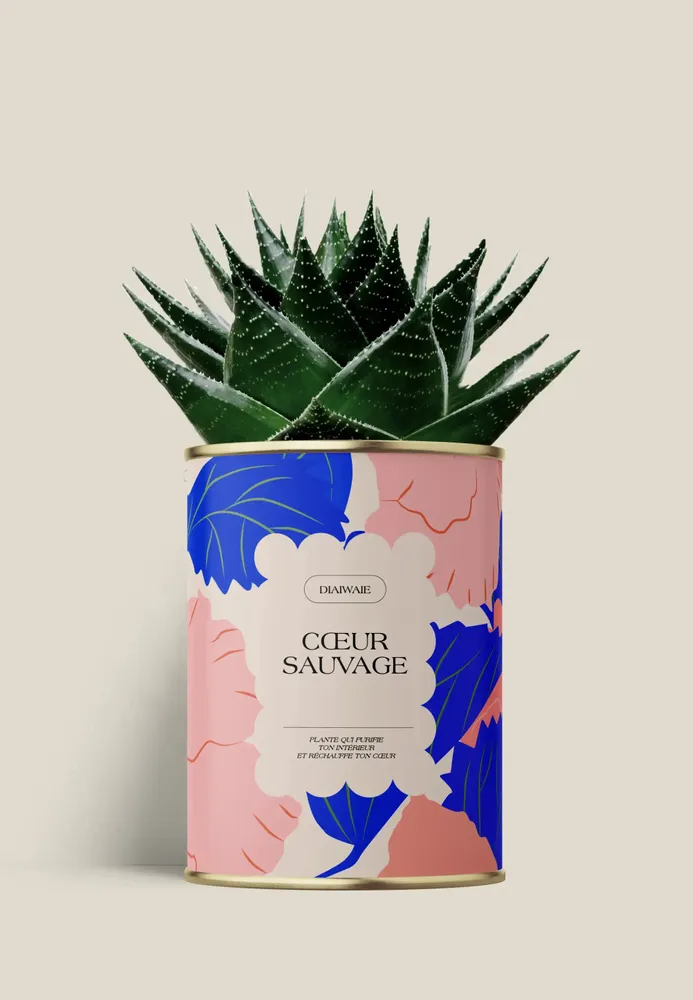 Gifts - Coeur sauvage - Maxi Aloé - DIAIWAIE