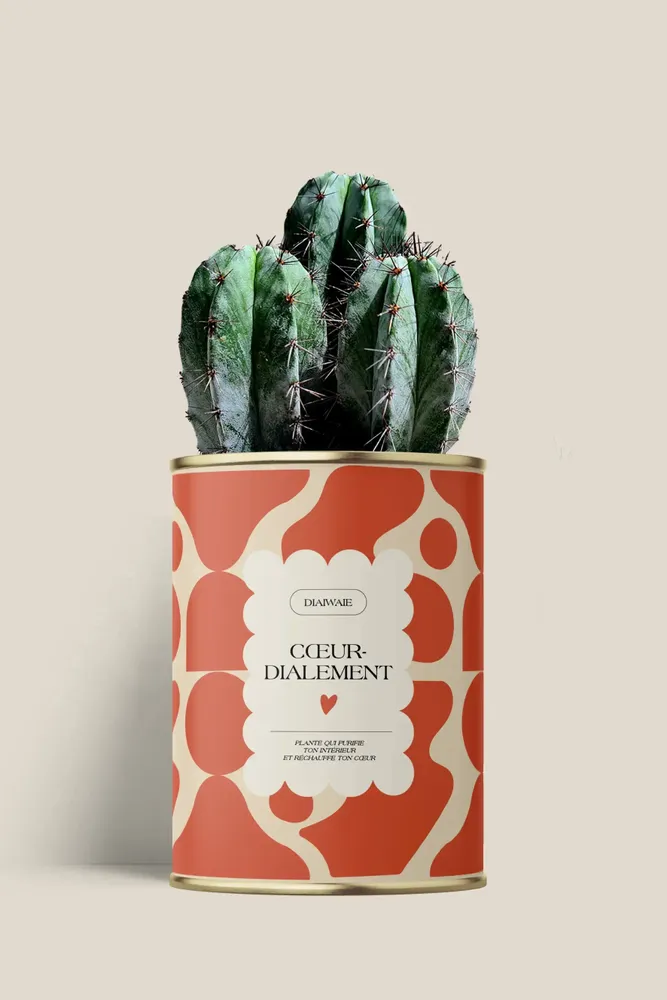 Gifts - Cœur-dialement <3 - Maxi Cactus - DIAIWAIE
