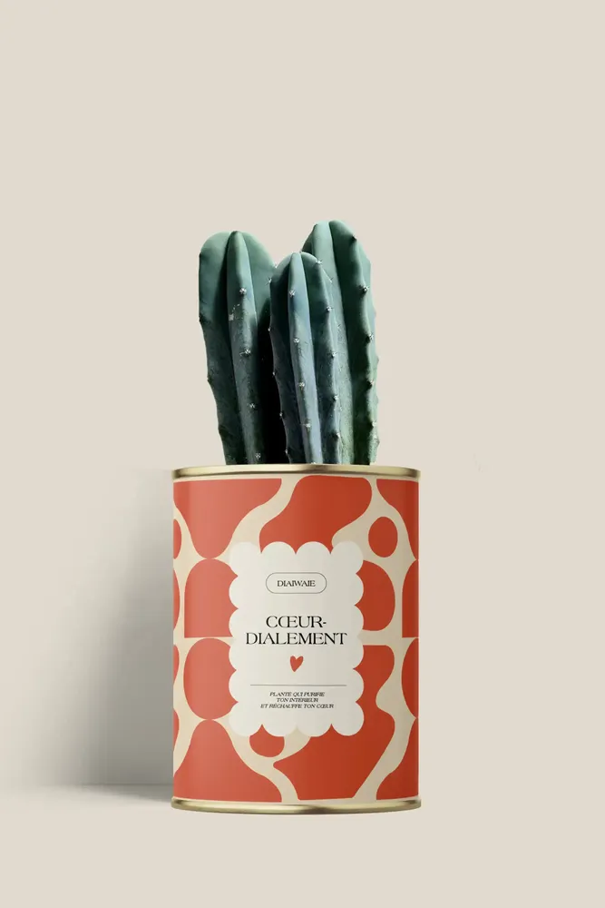 Cadeaux - Cœur-dialement <3 - Mini Cactus - DIAIWAIE