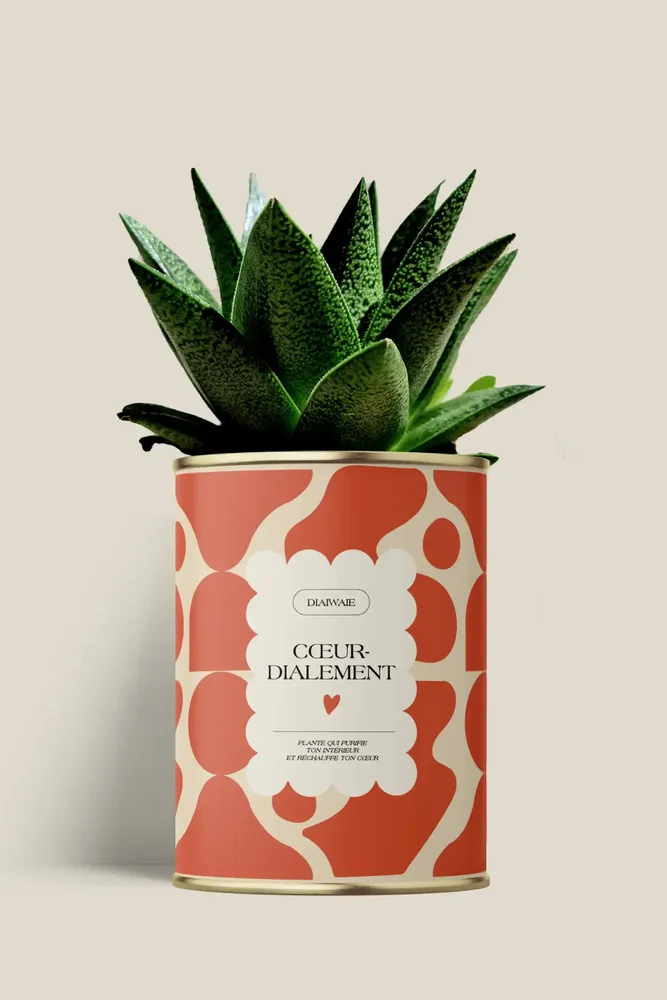 Cadeaux - Cœur-dialement <3 - Maxi Aloé - DIAIWAIE