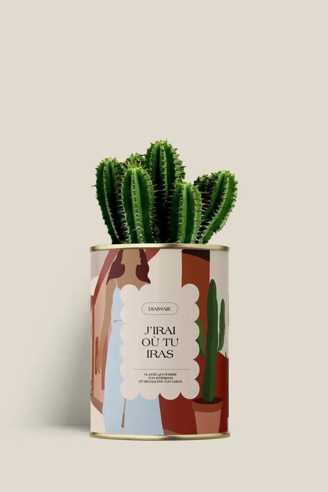 Gifts - J'irai ou tu iras - Mini cactus - DIAIWAIE