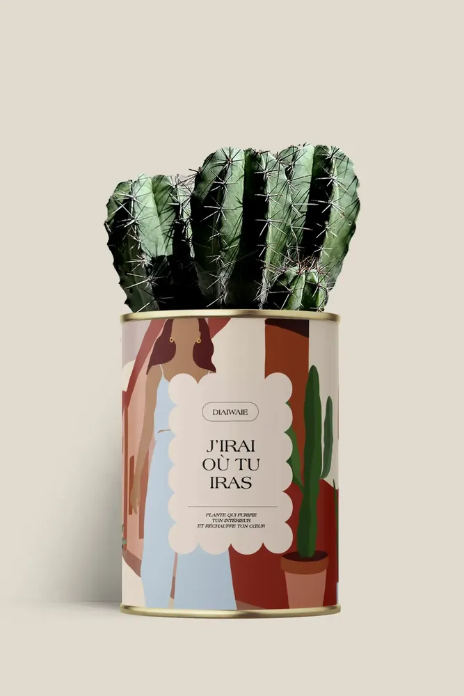 Gifts - J'irai ou tu iras - Maxi cactus - DIAIWAIE