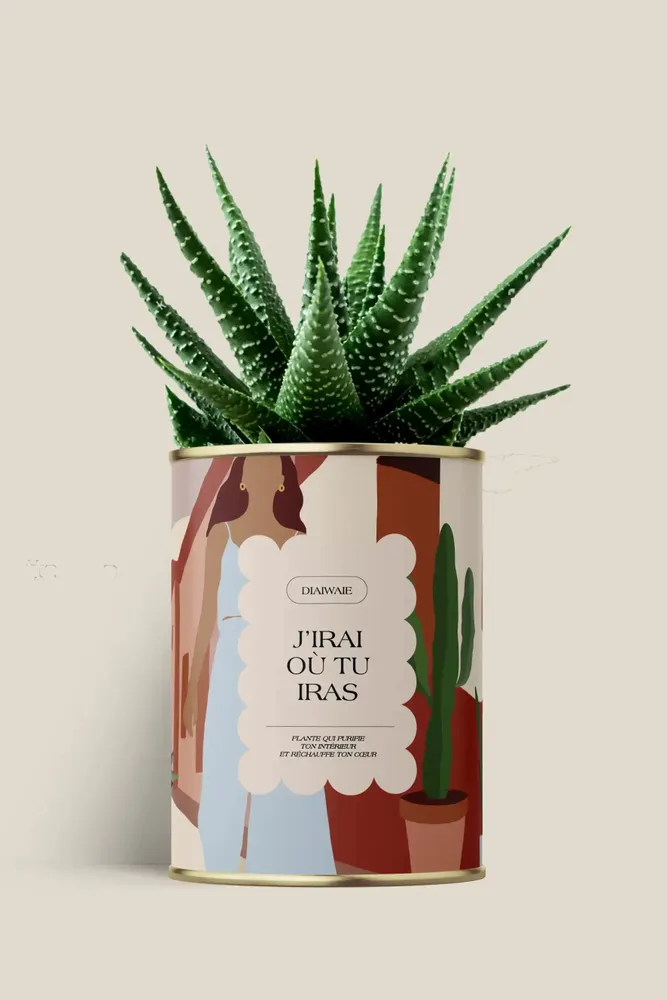 Gifts - J'irai ou tu iras - Maxi aloé - DIAIWAIE